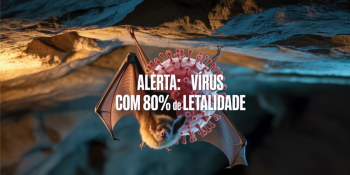 Vírus Nipah Já Matou na Ásia; Agora Cientistas Temem Surto Global