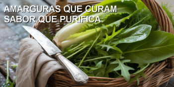 Verduras amargas: o segredo natural para purificar o corpo
